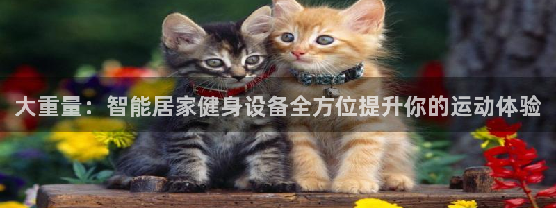 海南意昂体育4：大重量：智能居家健身设备全方位提升你的运动体