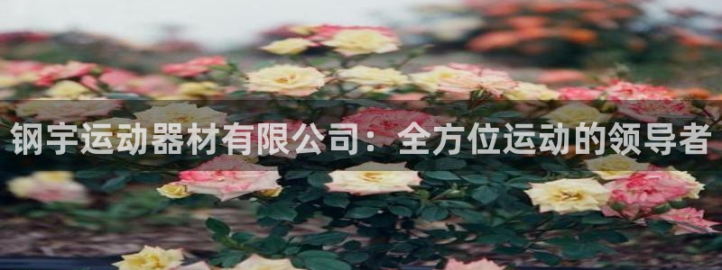 意昂4娱乐是那个系列的台子：钢宇运动器材有限公司：全方位运动