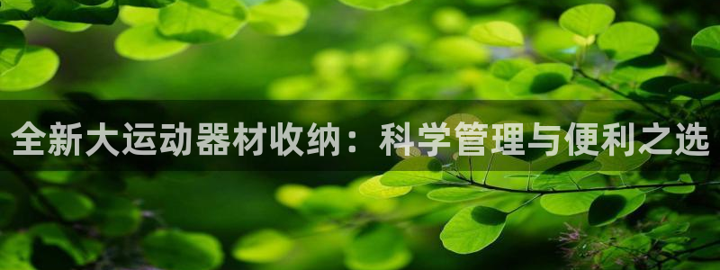 意昂体育4是干嘛的公司：全新大运动器材收纳：科学管理