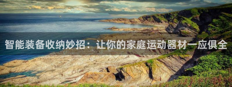 意昂4娱乐首页网站大全：智能装备收纳妙招：让你的家庭