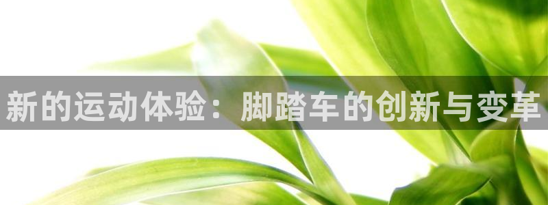 意昂体育4：新的运动体验：脚踏车的创新与变革