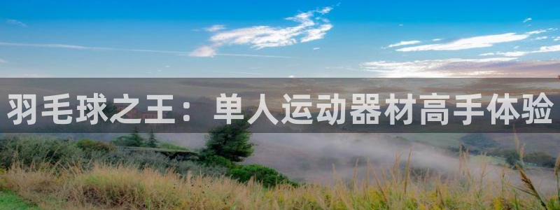 意昂4官方：羽毛球之王：单人运动器材高手体验