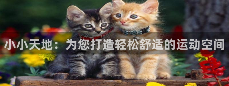 意昂4集团官网首页网址：小小天地：为您打造轻松舒适的