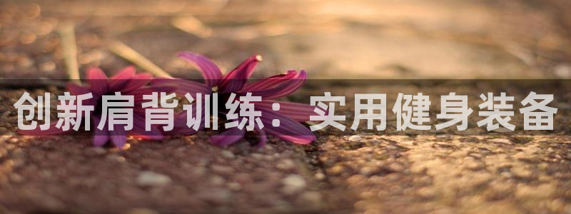 意昂4娱乐40996：创新肩背训练：实用健身装备