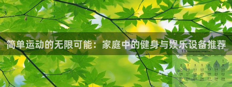 注册意昂4：简单运动的无限可能：家庭中的健身与娱乐设