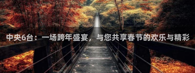 龙门飞甲播放：中央6台：一场跨年盛宴，与您共享春节的欢乐与精彩