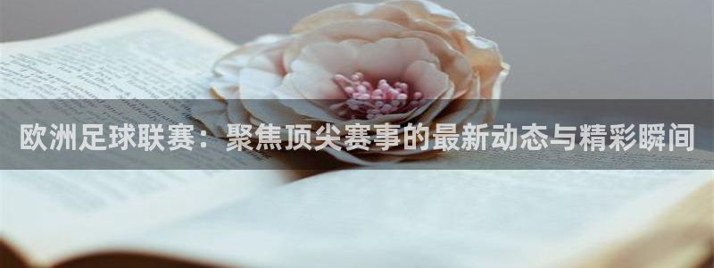 下载龙门体育直播：欧洲足球联赛：聚焦顶尖赛事的最新动态与精彩瞬间