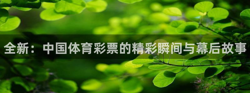 下载龙门直播：全新：中国体育彩票的精彩瞬间与幕后故事