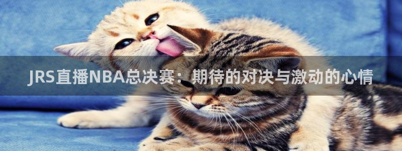 龙门直播间在线观看：JRS直播NBA总决赛：期待的对决与激动的心情